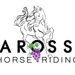 final Logo Design for 'Barossa Horse Riding'