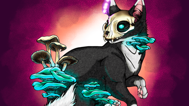 Fungi Feline Final Featured Image