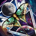 “Luna moth skateboard wall art” on geometric galaxy
